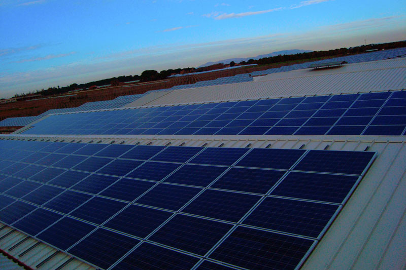 Fotovoltaico Nettuno (RM) azienda vivaistica